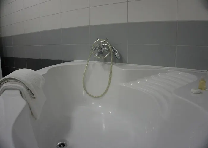 Swan * Norimberga